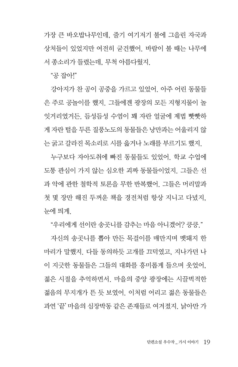 19.jpg