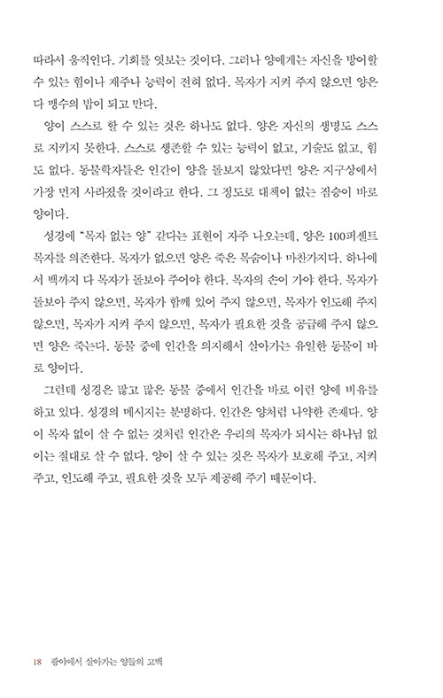 º»-(10).jpg