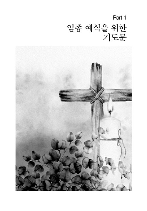 º»-(12).jpg
